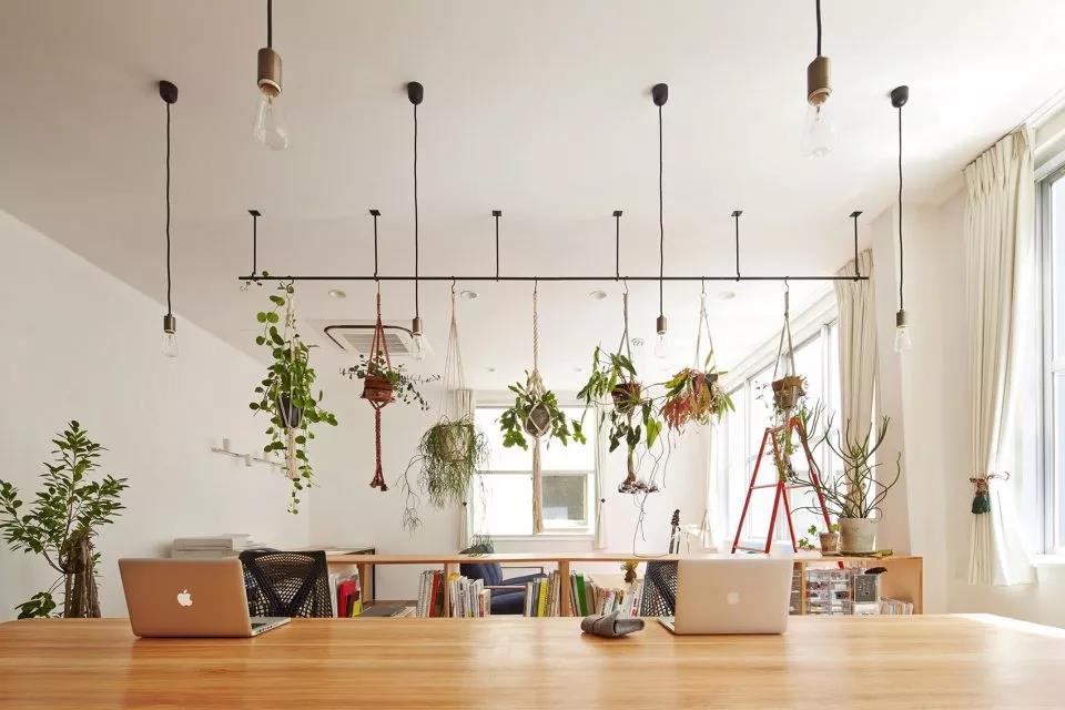 辦公室綠植隔斷實景圖