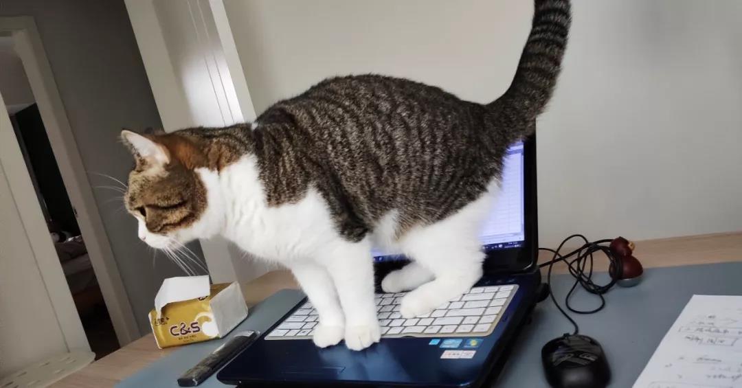 在家辦公的最大阻礙